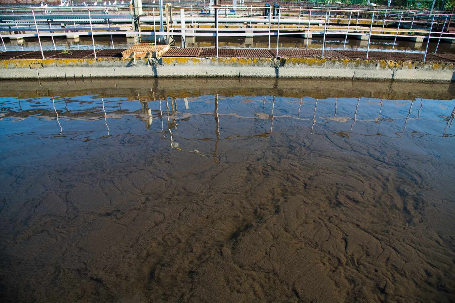 Becken mit gereinigtem Wasser. Am Boden setzt sich Klärschlamm ab.
